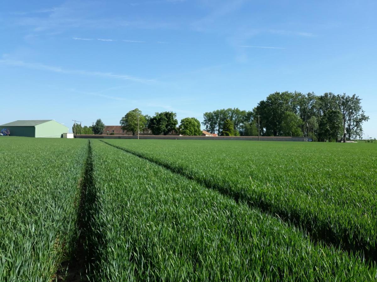 Séjour à la ferme Ferme De Mesangeon *